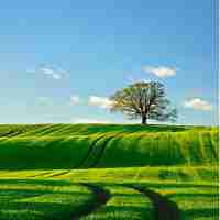 表​单​html美‌化‌